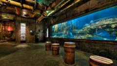 世界十大水族館排名，中國一家上榜！