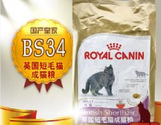 貓糧什么牌子好又便宜？十大貓糧品牌排行榜