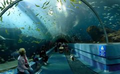 世界上最大的水族館排名，中國有兩處上榜