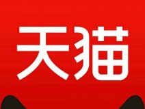 2021年度熱門企業(yè)TOP10，天貓第一抖音第四