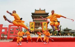 中國(guó)武術(shù)十大排名，少林功夫位居榜首