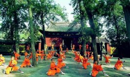 最流行的十大中國(guó)武術(shù)，少林功夫居榜首