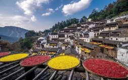 最適合養(yǎng)老的10個(gè)鄉(xiāng)鎮(zhèn)，江西婺源上榜