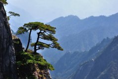 黃山市有什么好玩的景點？黃山市十大旅游景點排名