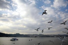 昆明十大拍照圣地，滇池和九鄉(xiāng)景區(qū)上榜