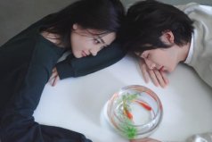 2021十大最新已完結(jié)電視劇，你追過(guò)哪幾部??？