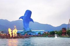 國內(nèi)十大值得一去的海洋館，香港海洋公園上榜