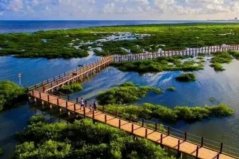 中國十大趕海圣地，福建霞浦灘涂上榜