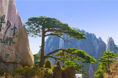 著名的五岳是哪五岳？中國五大名山