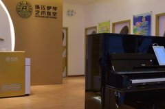 十大鋼琴培訓(xùn)機構(gòu)排名：掌門陪練上榜，VIP陪練排第二