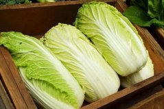 十大冬季時(shí)令蔬菜，大白菜位居第一寶座