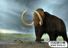 世界已滅絕的十大動物：渡渡鳥上榜，長毛象排首位