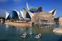 全球六個最大的水族館，真是夢幻的“水世界”