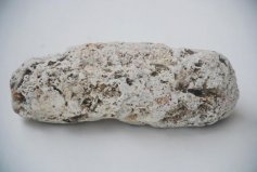世界上最貴的動物糞便：一斤就要上百萬，比黃金還貴！