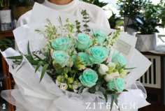 世界三大玫瑰分別叫什么：綠薄荷、彩虹玫瑰和冰雪皇后