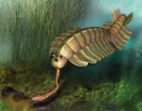 全球最恐怖四大遠(yuǎn)古生物，游走鯨排在第二位