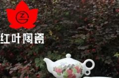 陶瓷餐具品牌十大排名，紅葉陶瓷排第一名