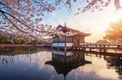 中國(guó)十大最適合踏春的城市，你去過哪座城市？