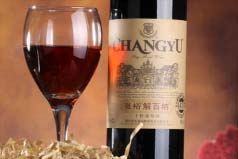 中國紅酒品牌排行榜前十名：長城僅第二，張裕登頂榜首