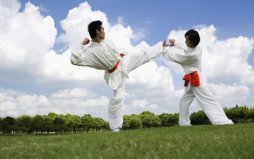中國有幾大國粹：武術(shù)、京劇、書法和中醫(yī)（四大國粹）