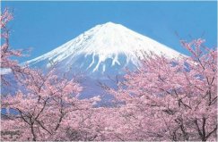 日本最美的自然風光：富士山奪冠，你去過幾個？