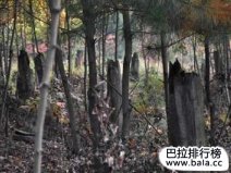 世界八大外星文明之謎，真有外星文明存在嗎？