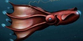 世界上最可怕的十大海怪，吸血魷魚、水熊蟲均上榜