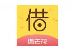 2022小額度1000元秒下款app：口袋花上榜，借去花居首