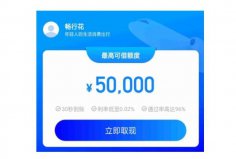 2022征信花負(fù)債高必過(guò)的網(wǎng)貸：暢行花、洋錢罐排前兩名