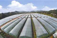 冬天溫室大棚保暖的十種方法：大棚冬天怎么保暖？