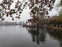 湖北著名湖泊有哪些？湖北十大湖泊排行榜