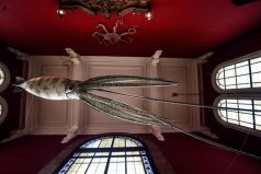 世界十大著名海洋博物館，中國(guó)國(guó)家海洋博物館上榜