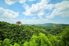 益陽旅游必去十大景點(diǎn)，益陽有哪些好玩的景點(diǎn)