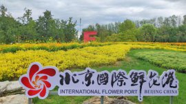 北京順義有什么旅游景點(diǎn)？北京順義旅游十大景點(diǎn)排名