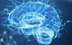 世界十大最難學科排行榜，神經(jīng)科學一舉奪冠，物理學無緣前五
