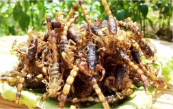 山東四大怪菜：烏魚蛋上榜，油炸蝎子位居第一寶座