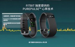 智能手環(huán)哪個(gè)品牌最好？智能手環(huán)排行榜前十名品牌