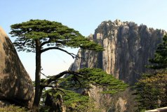 黃山值得去的十大旅游景點(diǎn)，去黃山不可錯(cuò)過(guò)！