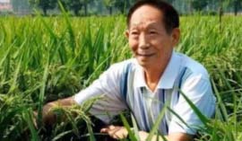中國近代十大偉人：袁隆平、錢學(xué)森位居前兩名