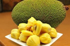 世界上最大的水果，菠蘿蜜最重超過59公斤
