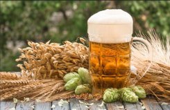 看球賽必吃的十大美食：啤酒、泡面、火鍋全部上榜