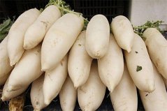 適合秋季播種的十種蔬菜，盤點(diǎn)10種常見蔬菜