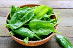 秋季適合播種什么蔬菜？十大適合秋天播種的蔬菜