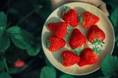 吃什么水果去胃火效果最好？盤點四種可祛胃火的水果
