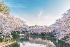 無錫有什么好玩的景點(diǎn)？無錫旅游必去十大景點(diǎn)