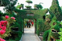 菏澤哪些旅游景點值得去？菏澤十大必去旅游景點
