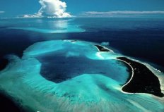 世界上無海岸線的大海，馬尾藻海透明度達66米