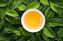 福建十大名茶品牌排行：馥益堂奪冠，福茗源得第二
