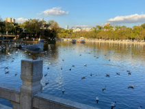 昆明市區(qū)有哪些好玩的地方？昆明市區(qū)十大景點(diǎn)排名