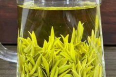 黃茶品牌排行榜前十名，蒙頂黃芽排第一名